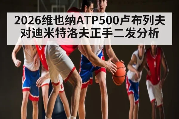 2026维也纳ATP500卢布列夫对迪米特洛夫正手二发分析（kaiyun）